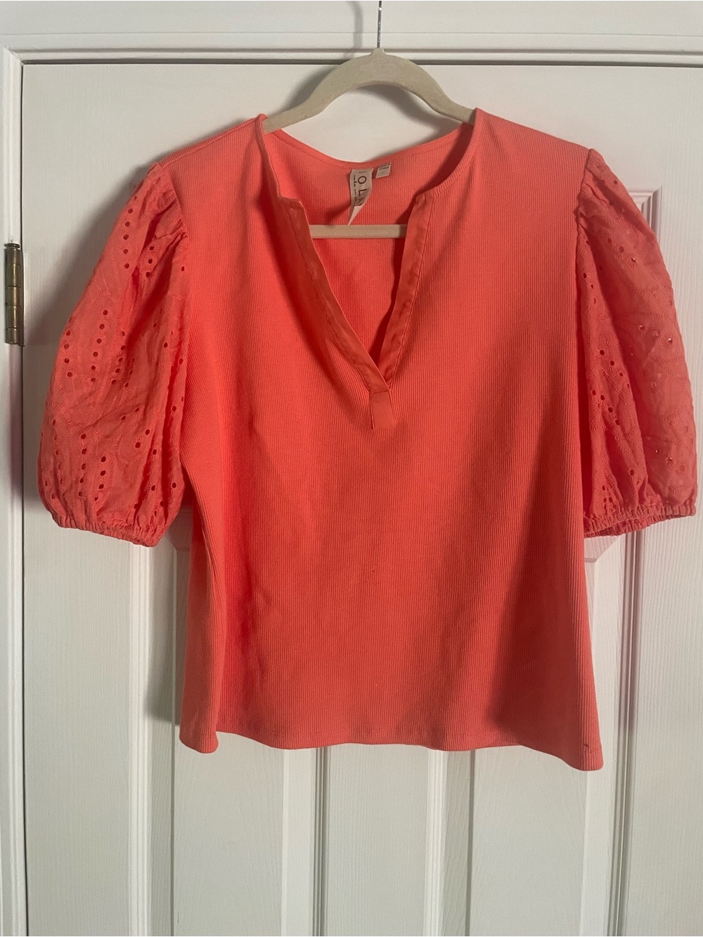 dolan Coral Eyelet Puff-Sleeve V-Notch Top